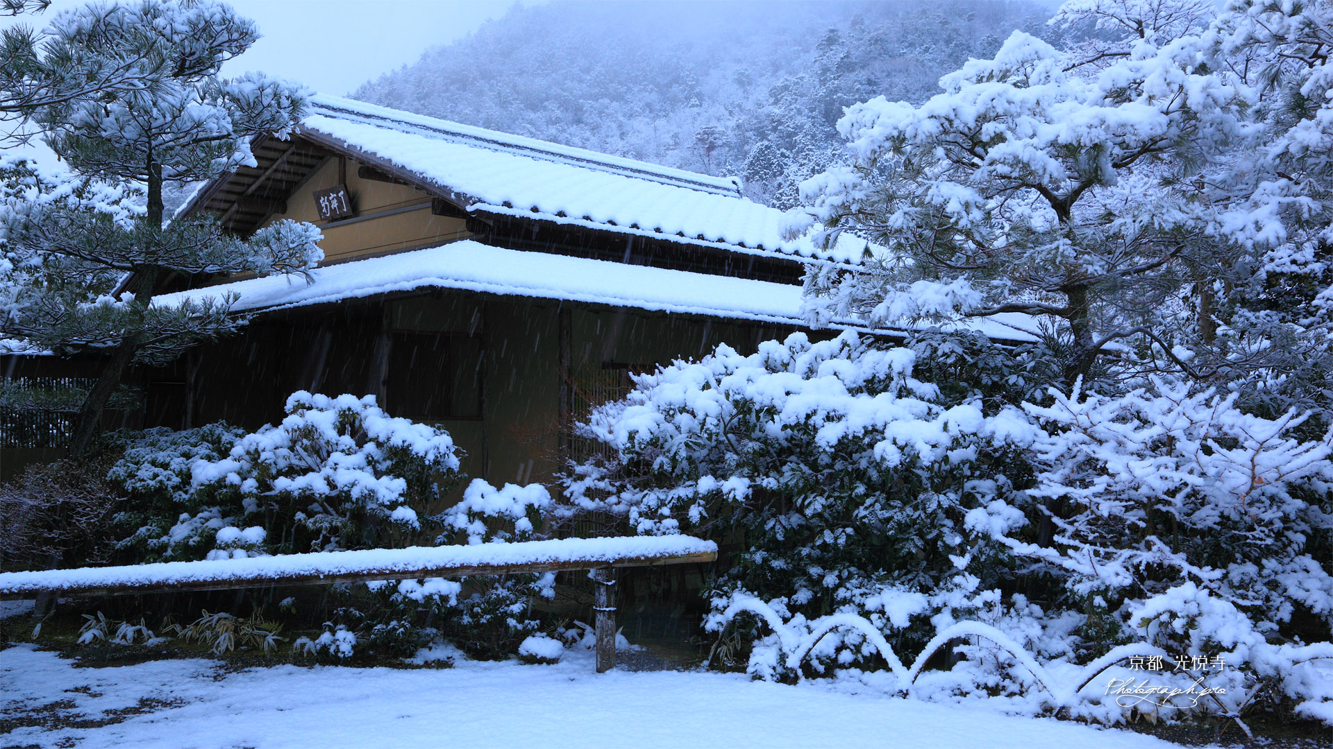 光悦寺 雪の了寂軒