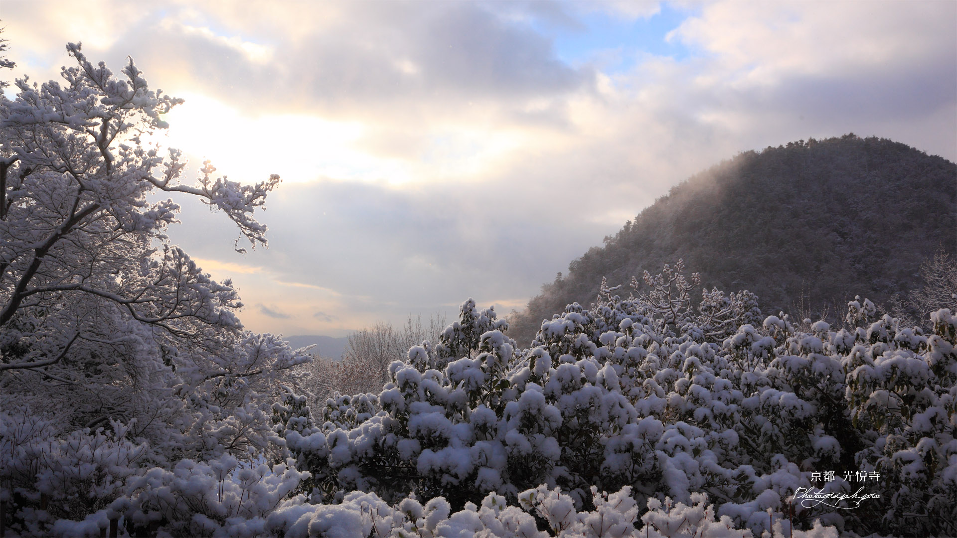 光悦寺 雪化粧の鷹ヶ峯