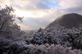光悦寺 雪化粧の鷹ヶ峯