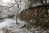 光悦寺 雪の花と光悦垣