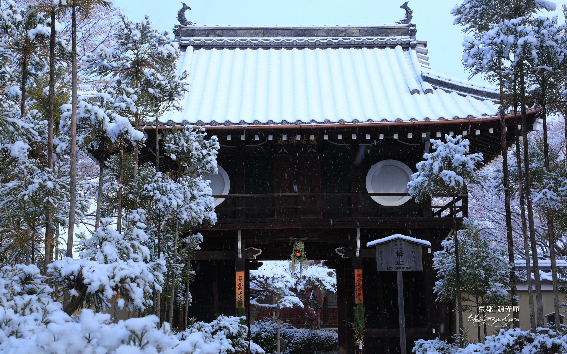 源光庵 雪の山門
