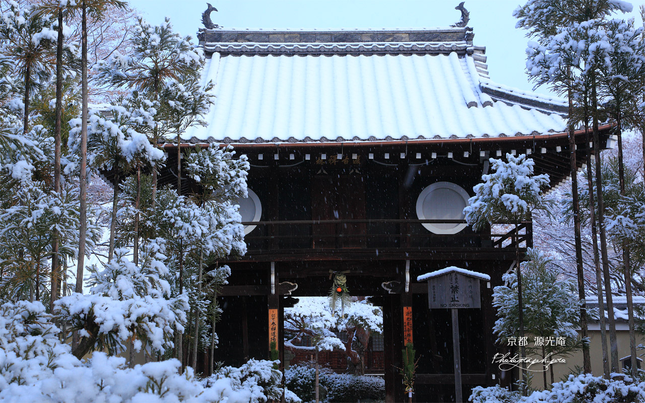 源光庵 雪の山門 壁紙