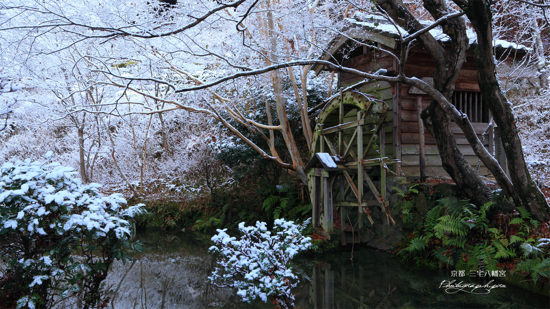 三宅八幡宮 雪化粧の水車小屋