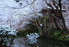 三宅八幡宮