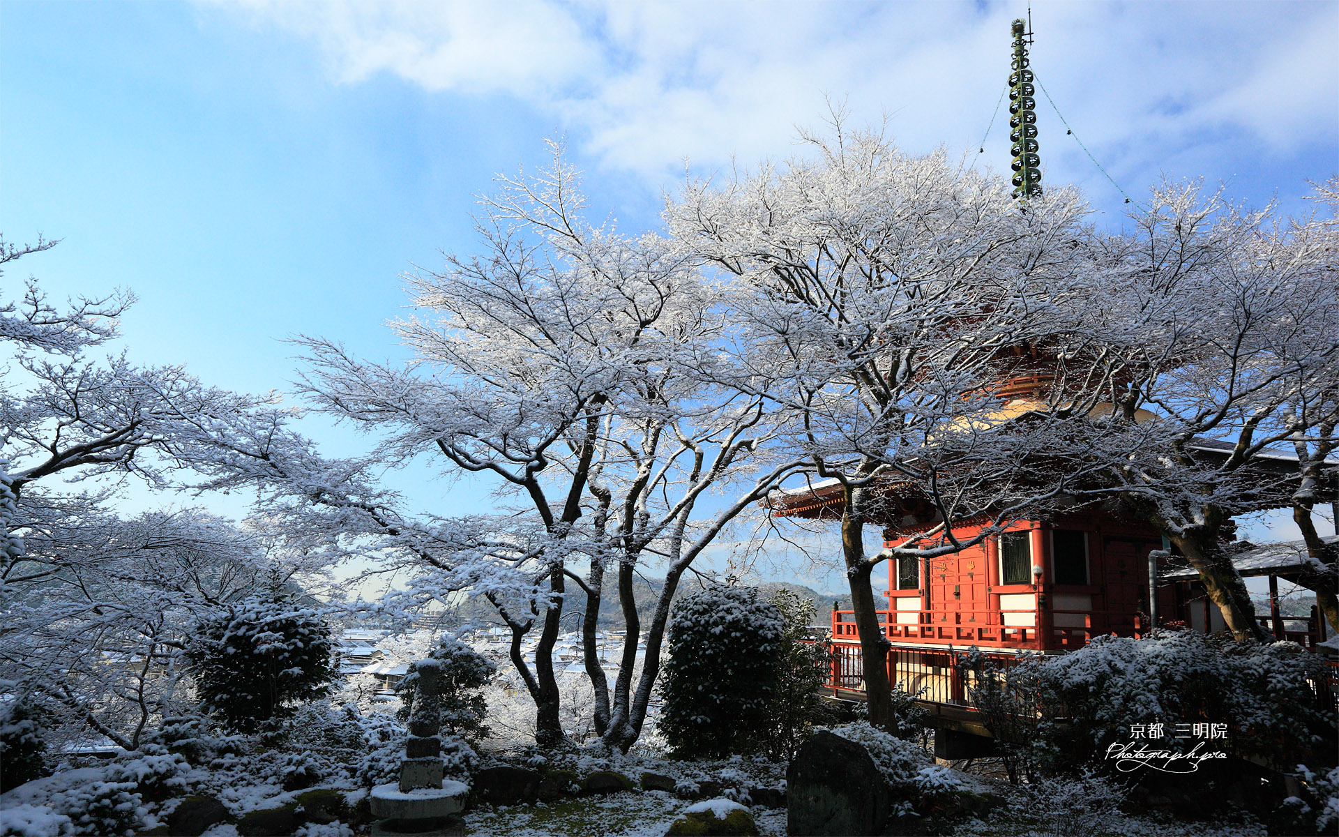 三明院 雪の花と多宝塔