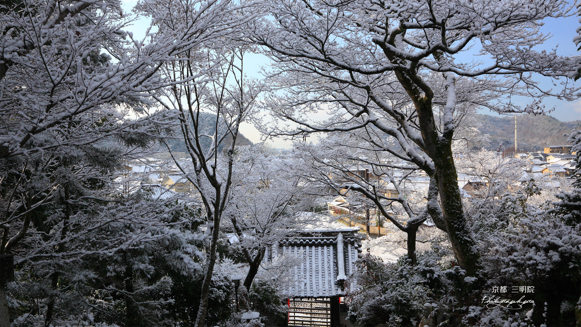 三明院 雪の花と山門