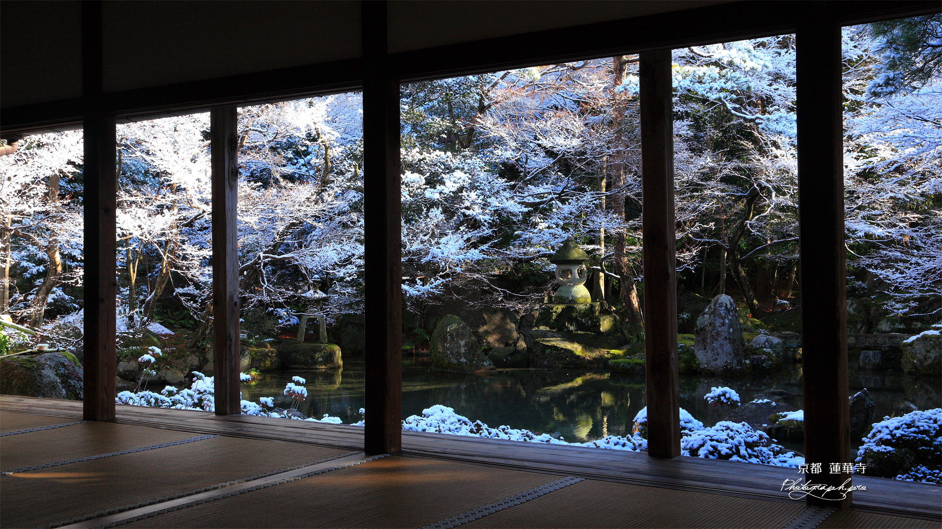 蓮華寺 書院から雪化粧の庭園