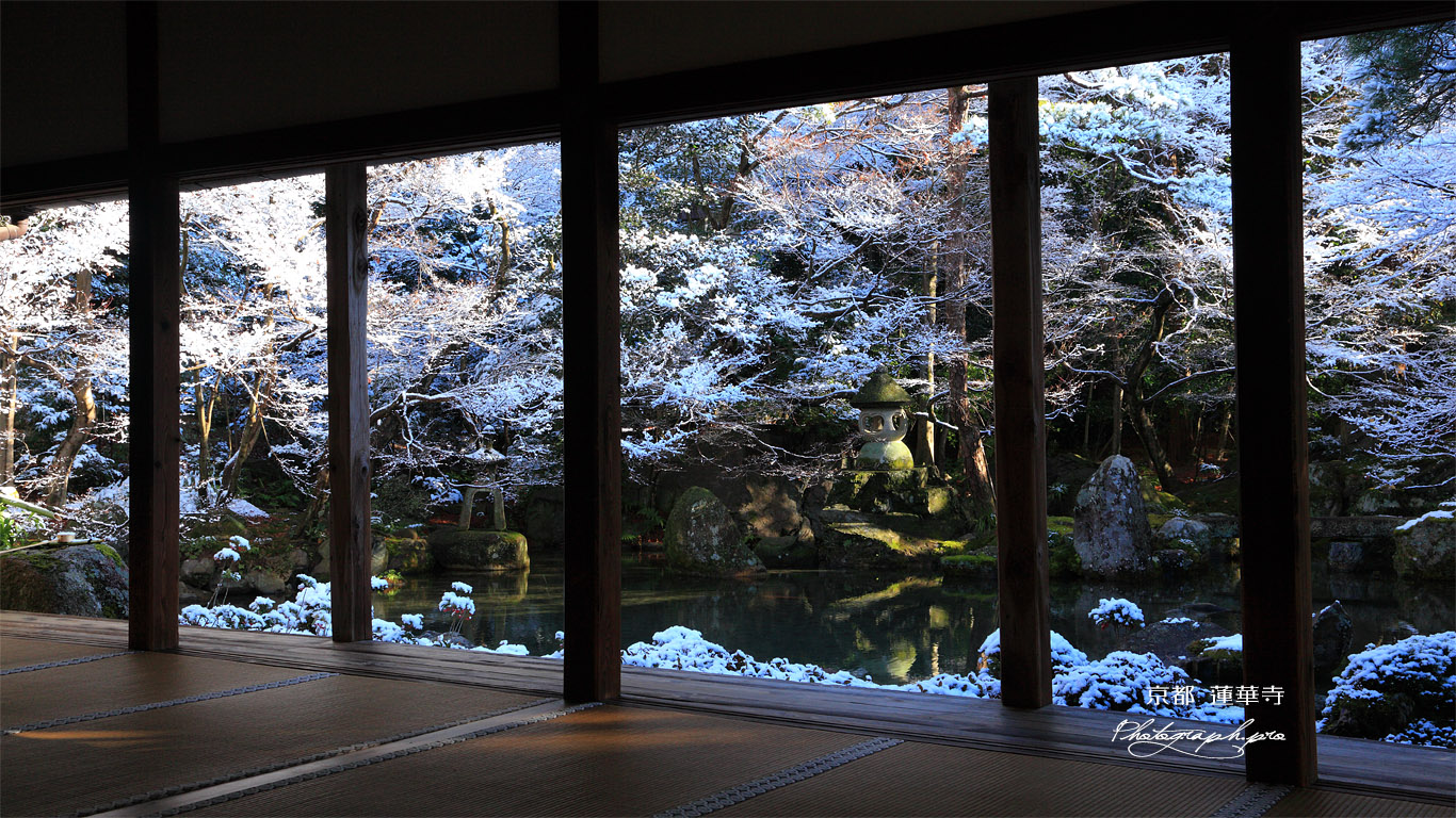 蓮華寺 書院から雪化粧の庭園 壁紙