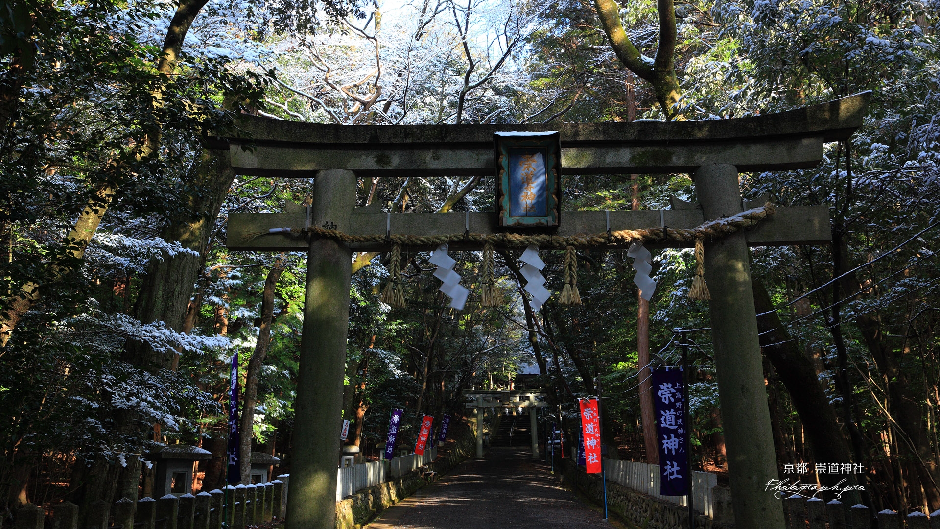 崇道神社 雪化粧の参道