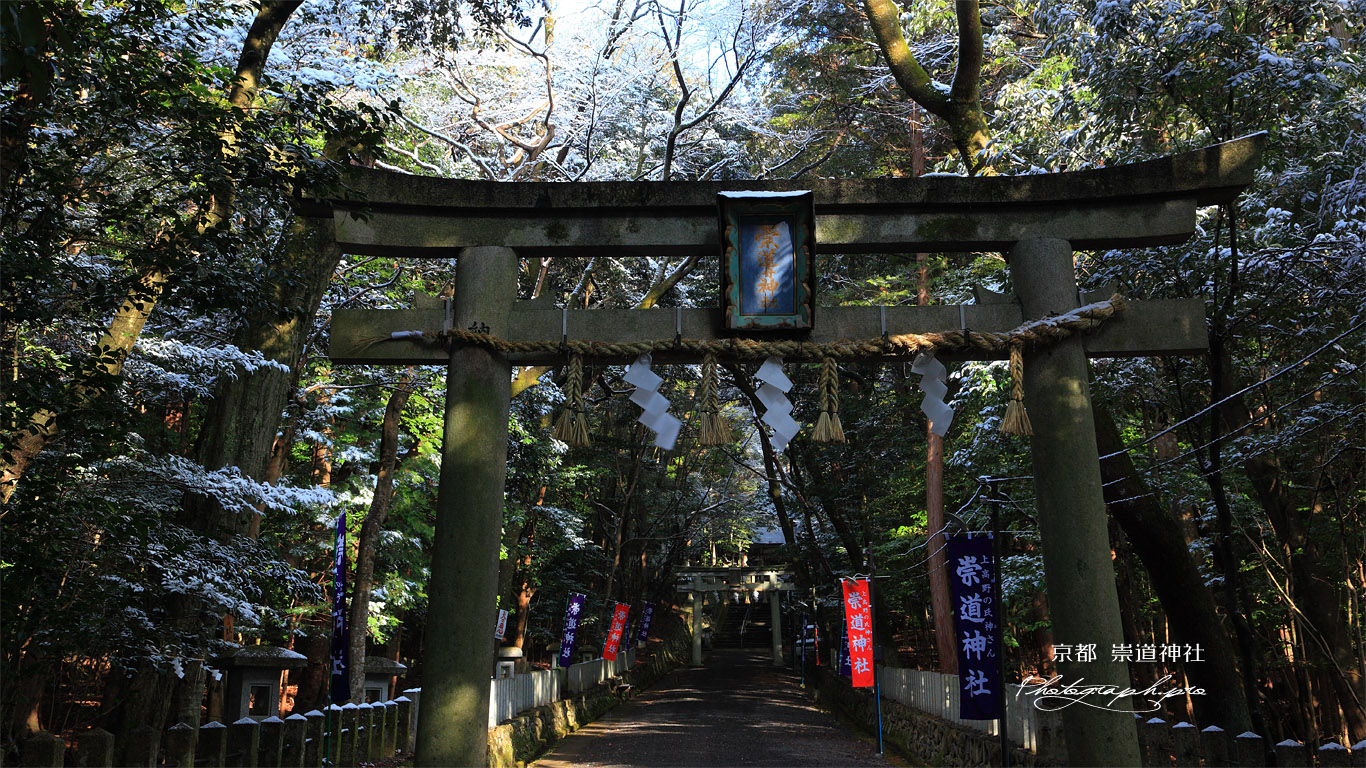 崇道神社 雪化粧の参道 壁紙