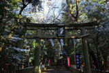 崇道神社 雪化粧の参道