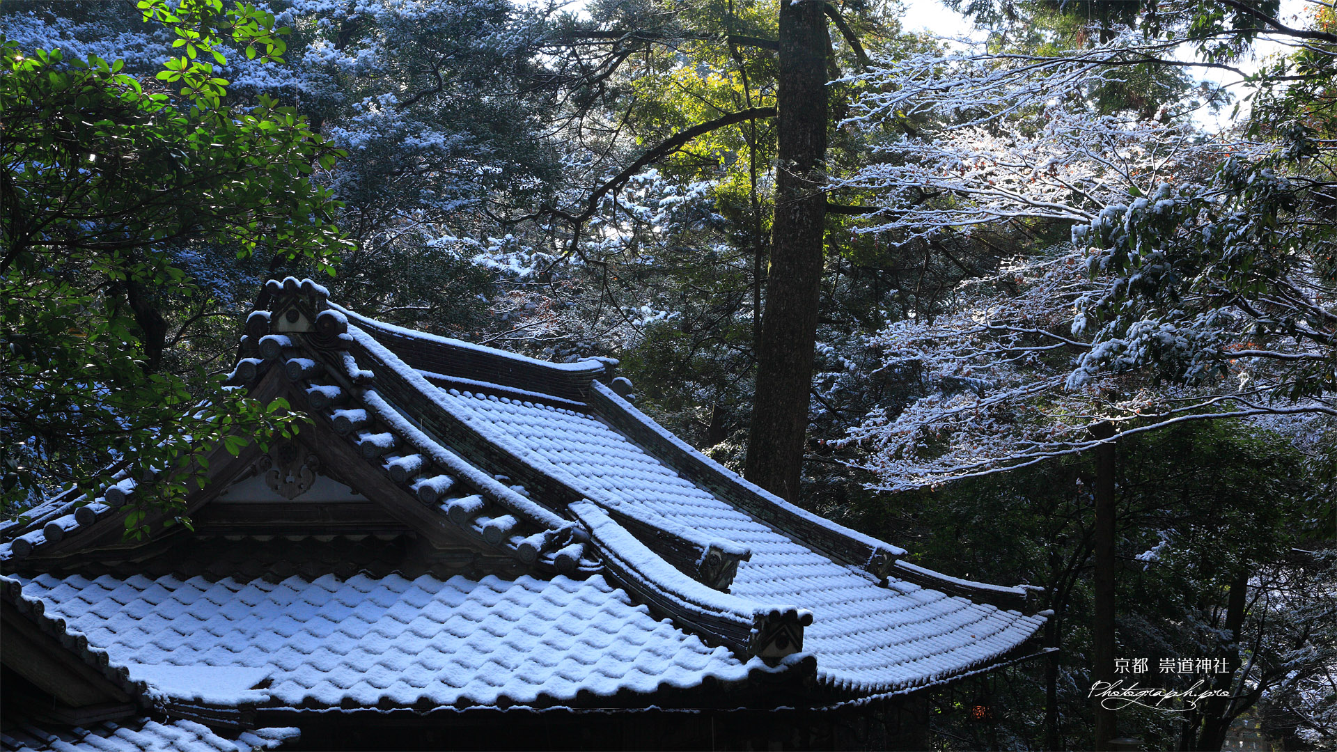 崇道神社 雪化粧の社務所