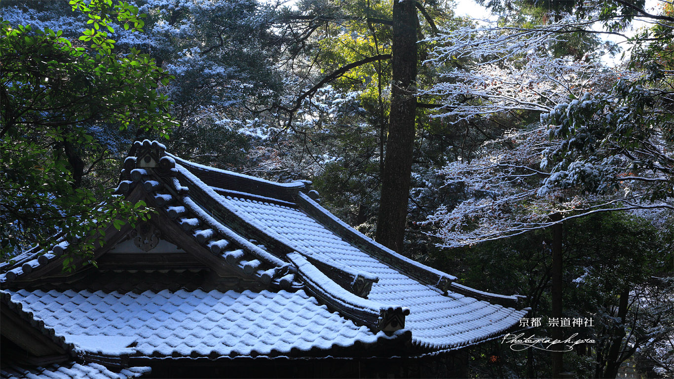 崇道神社 雪化粧の社務所 壁紙