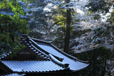 崇道神社 雪化粧の社務所