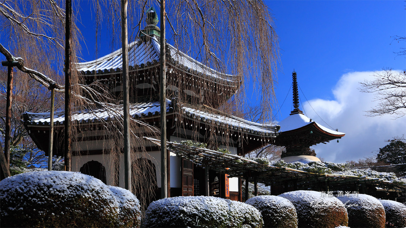 善峯寺 雪化粧の経堂と多宝塔 壁紙