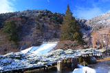 善峯寺 雪化粧の遊龍の松