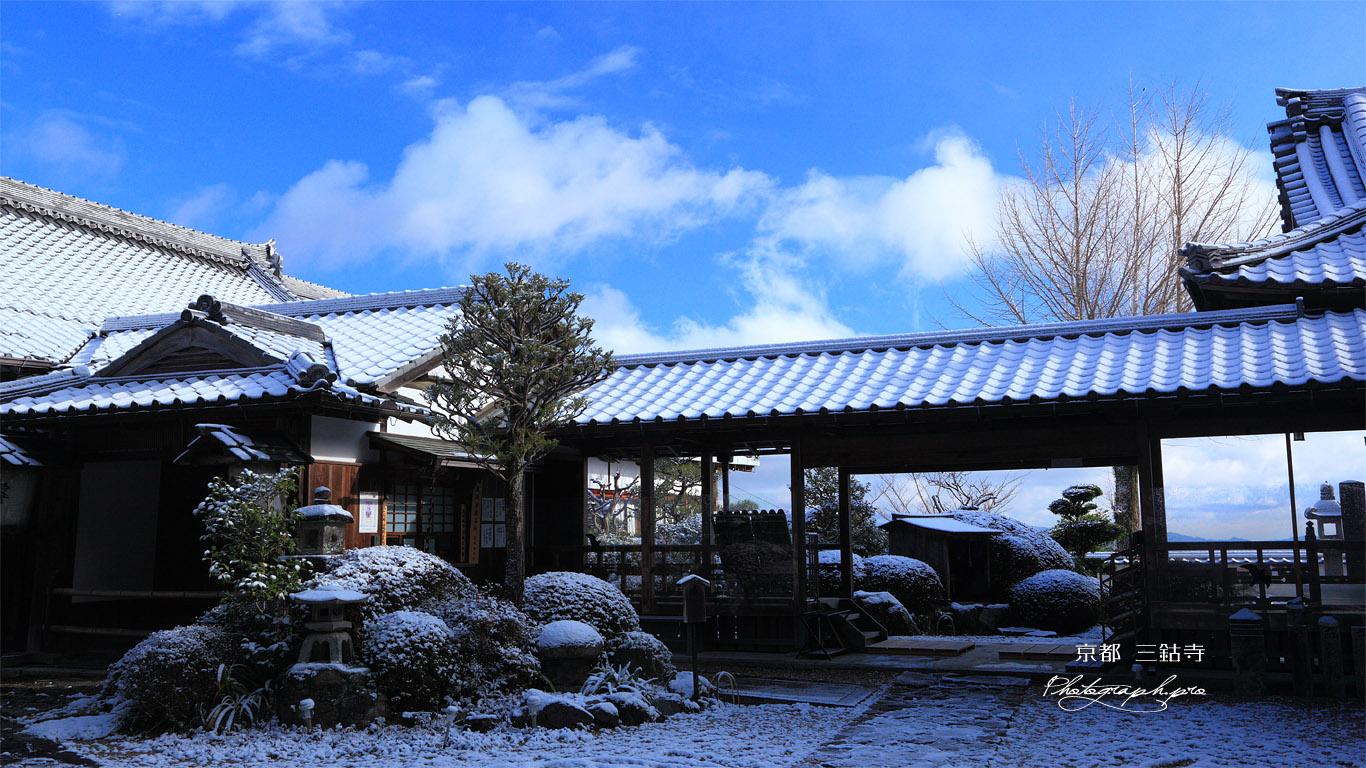 三鈷寺 雪化粧の境内 壁紙