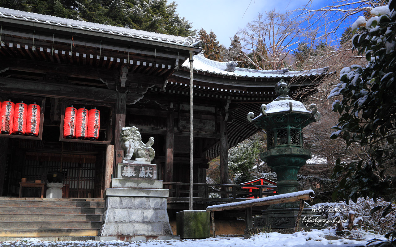 京都金蔵寺 雪化粧の本堂 壁紙