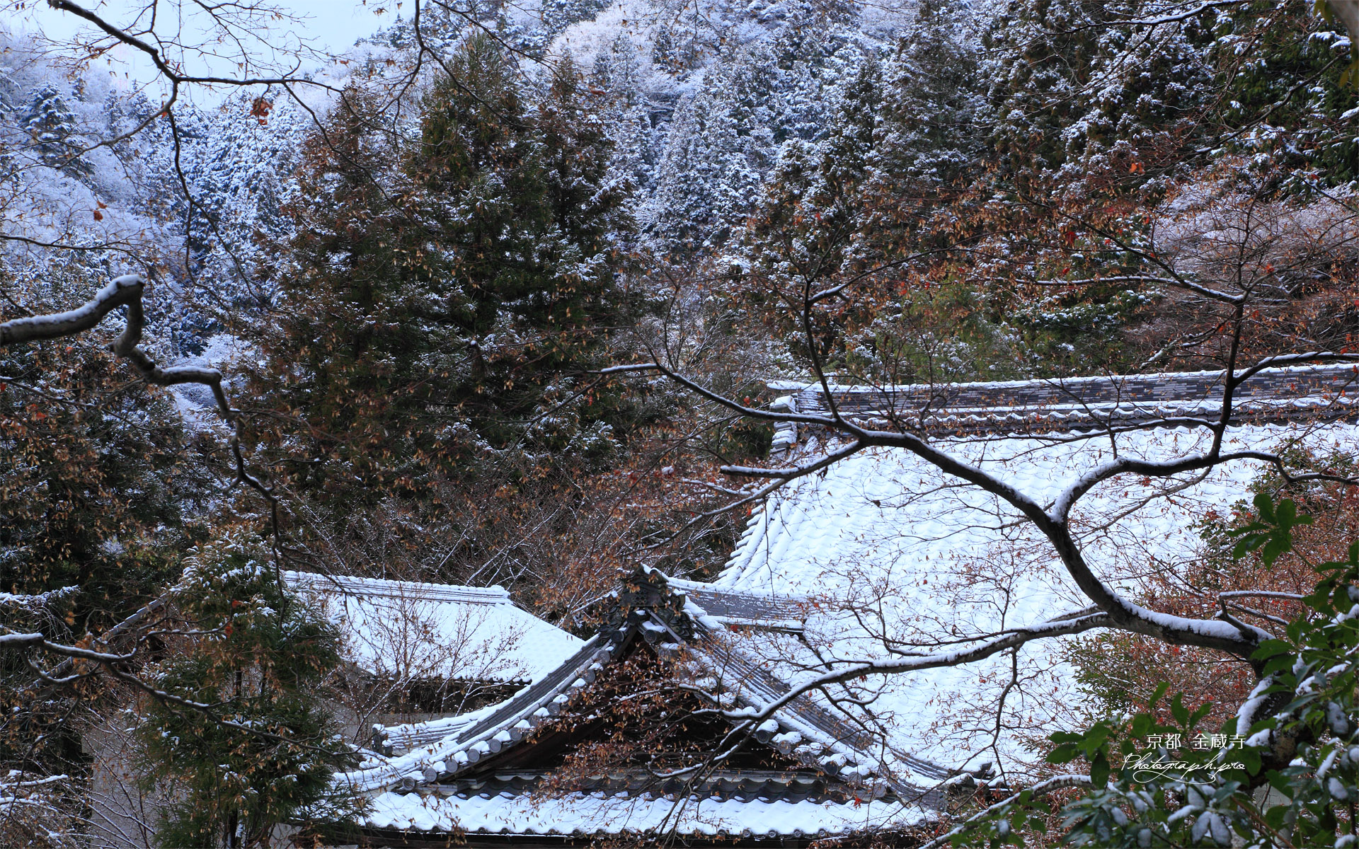 京都金蔵寺 雪化粧の客殿