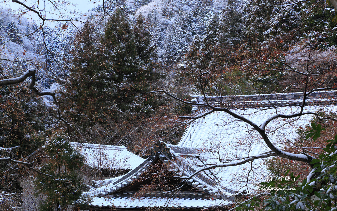 京都金蔵寺 雪化粧の客殿 壁紙