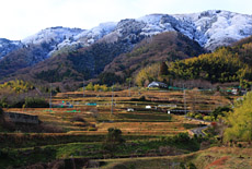 大原野