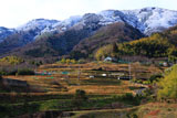 大原野