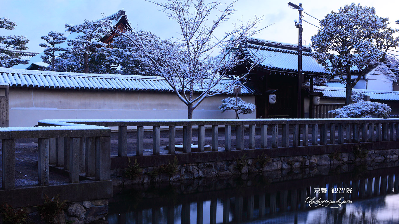 観智院 沫雪 壁紙