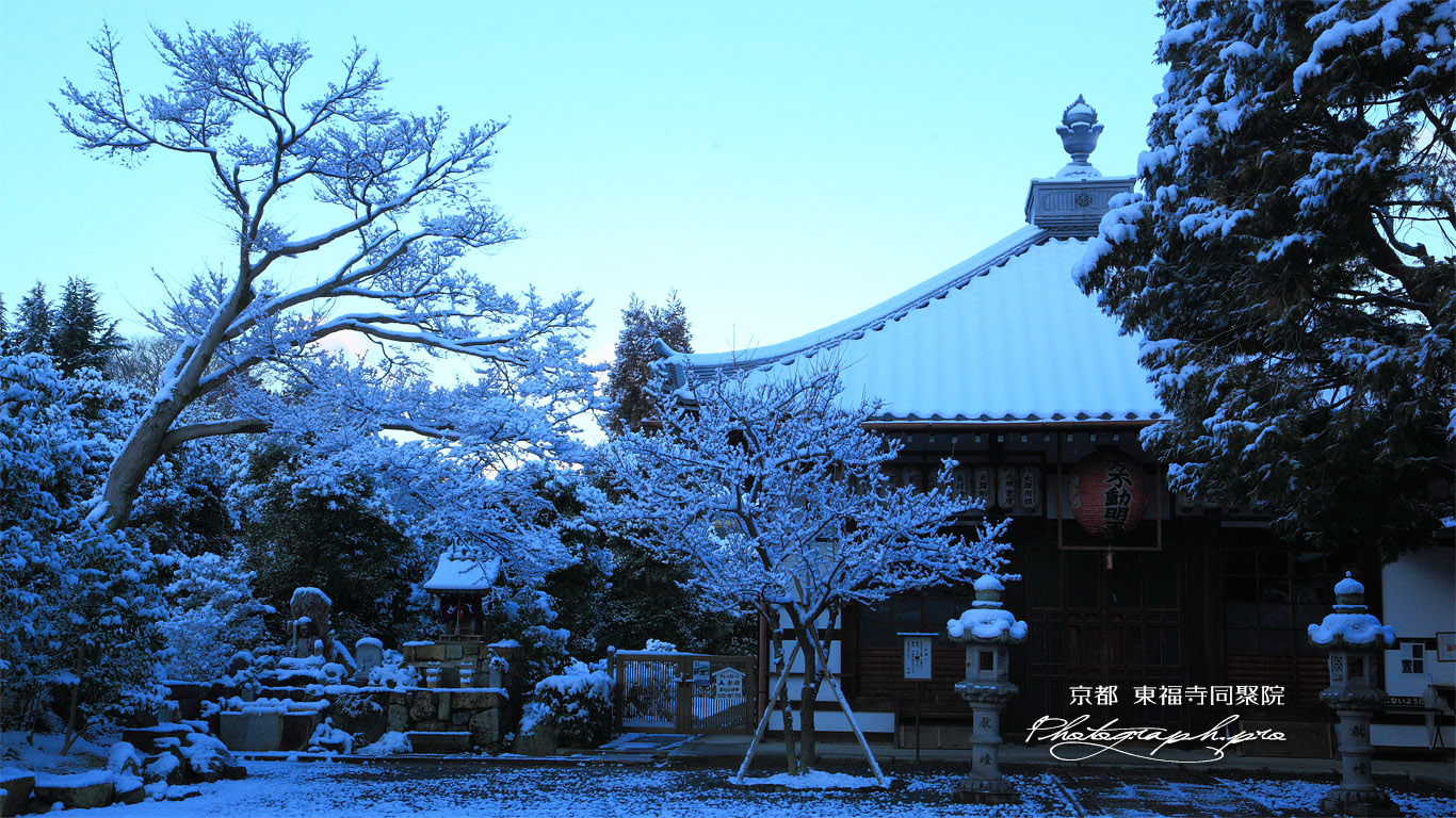 同聚院 雪景色の五大堂 壁紙