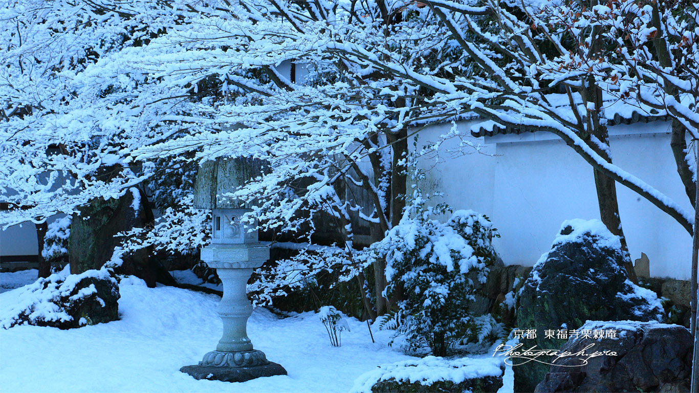 栗棘庵 雪の花と濡鷺型灯籠 壁紙