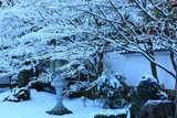 栗棘庵 雪の花と濡鷺型灯籠