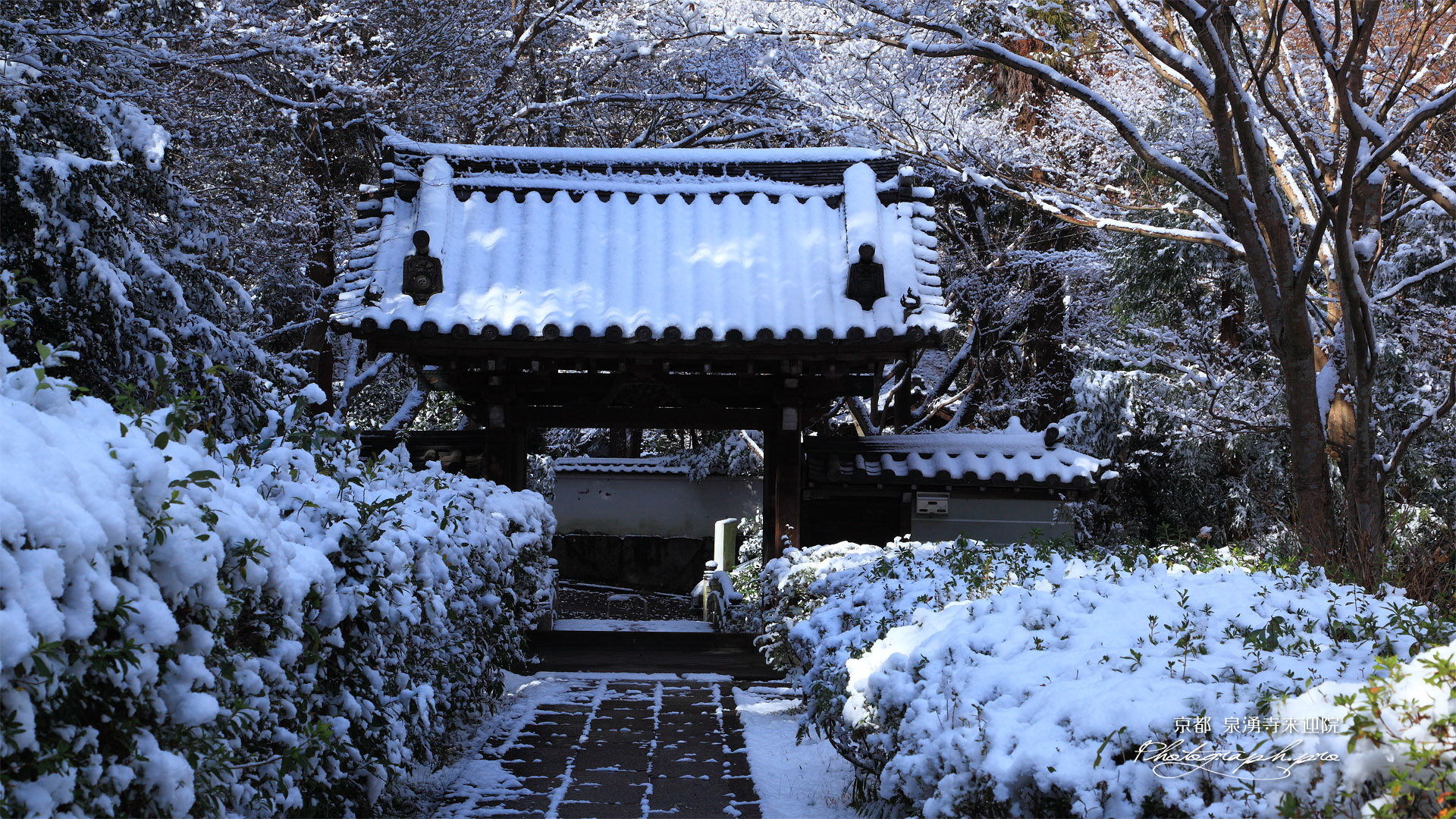 泉涌寺来迎院 雪化粧の山門