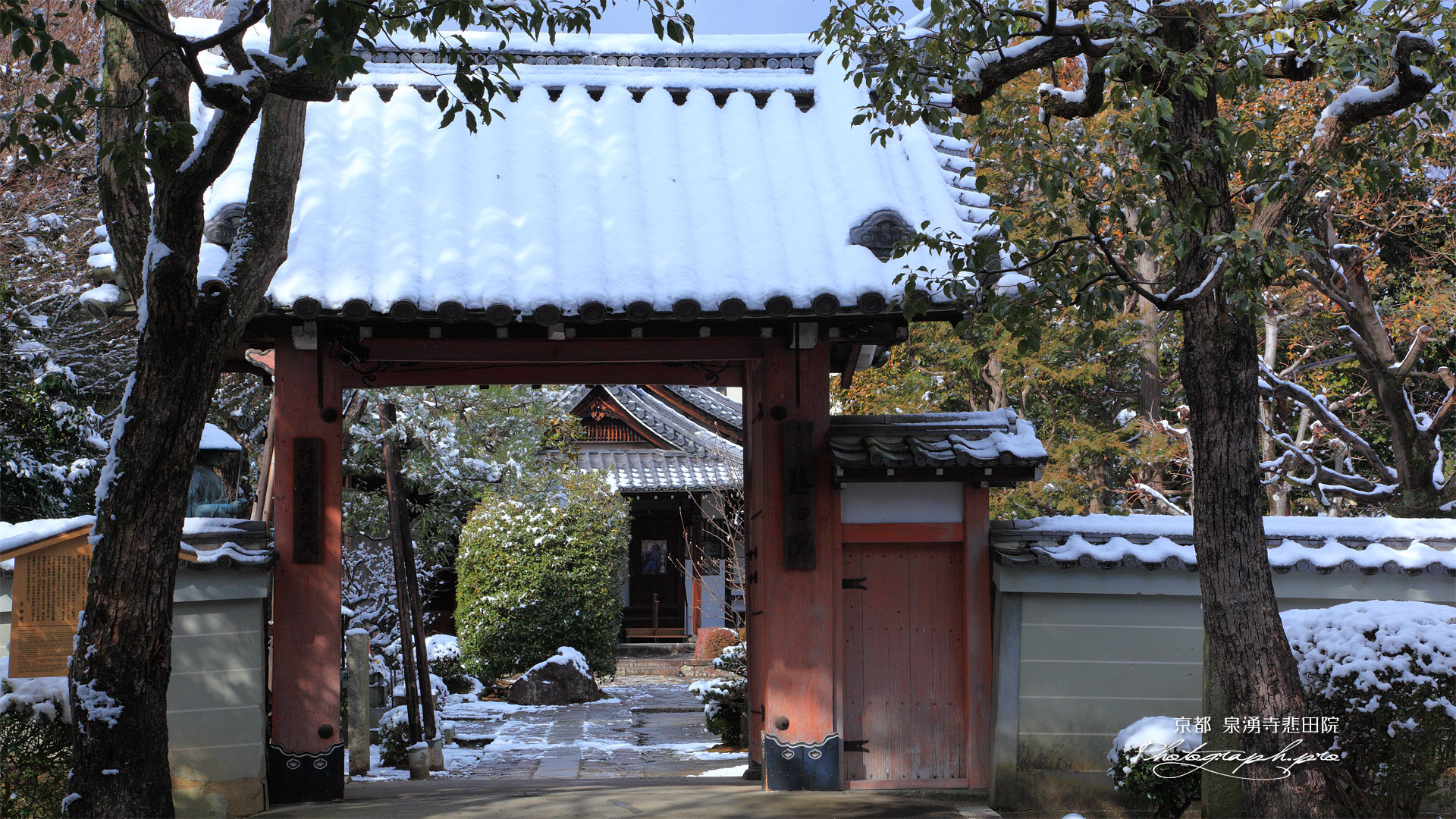 悲田院 冠雪の山門