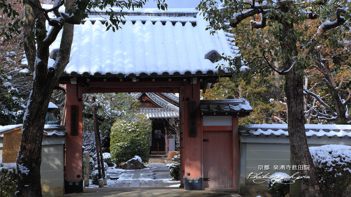 悲田院 冠雪の山門 壁紙
