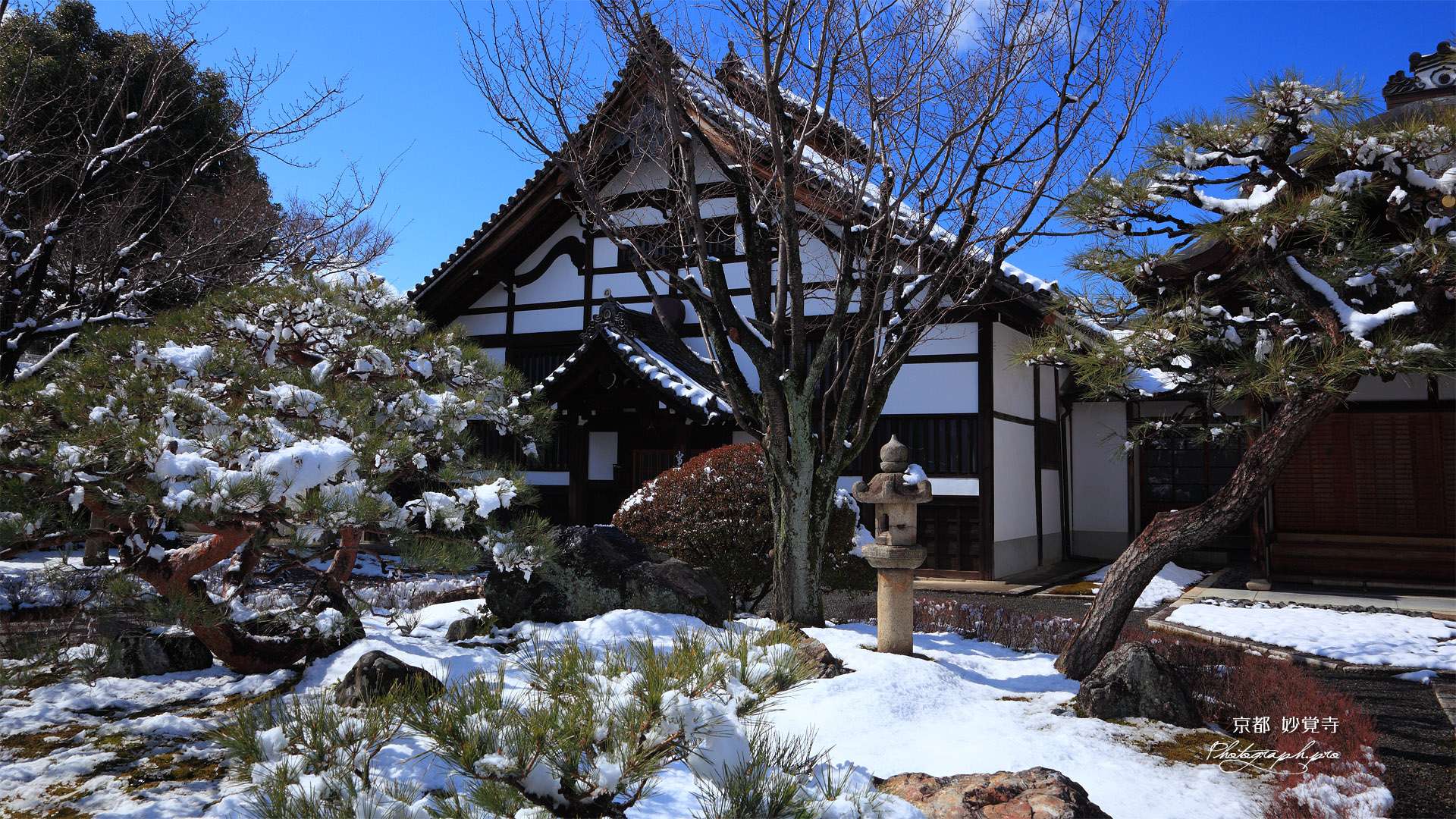 妙覚寺 雪景色の庫裏