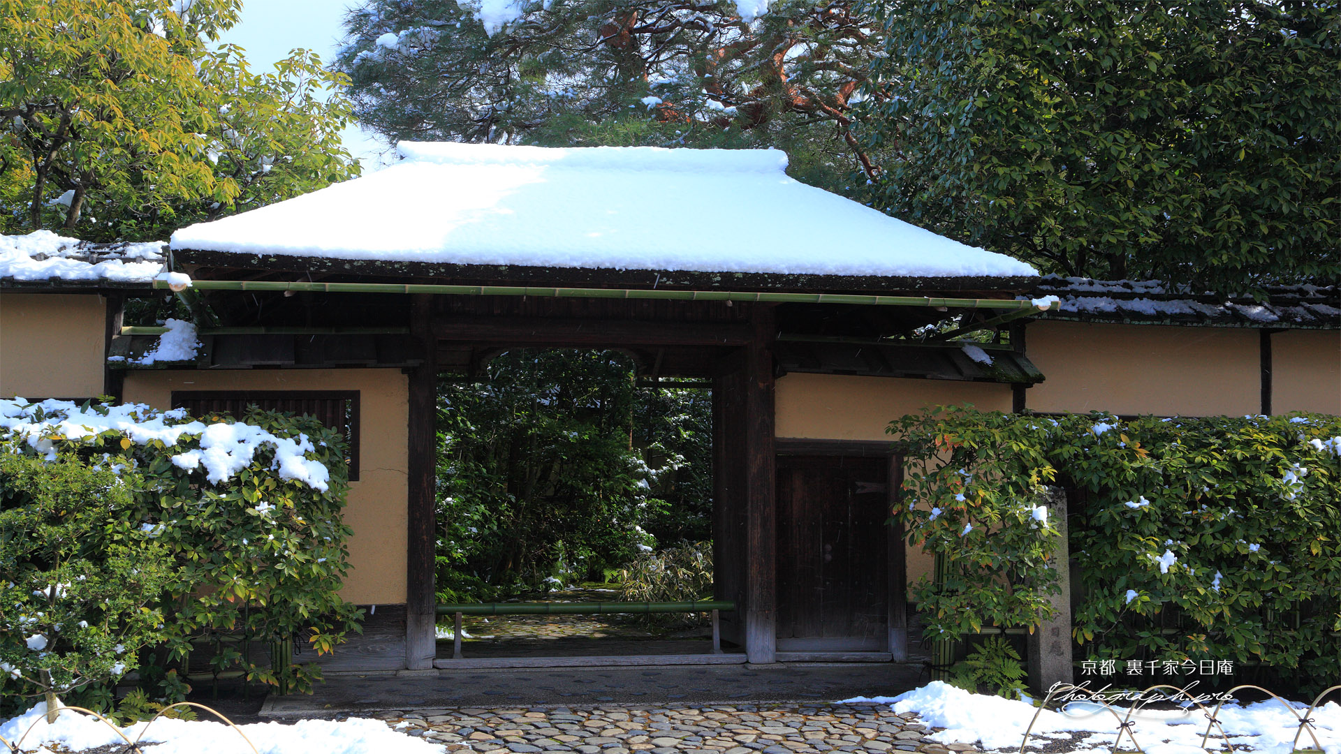 裏千家今日庵 斑雪の兜門