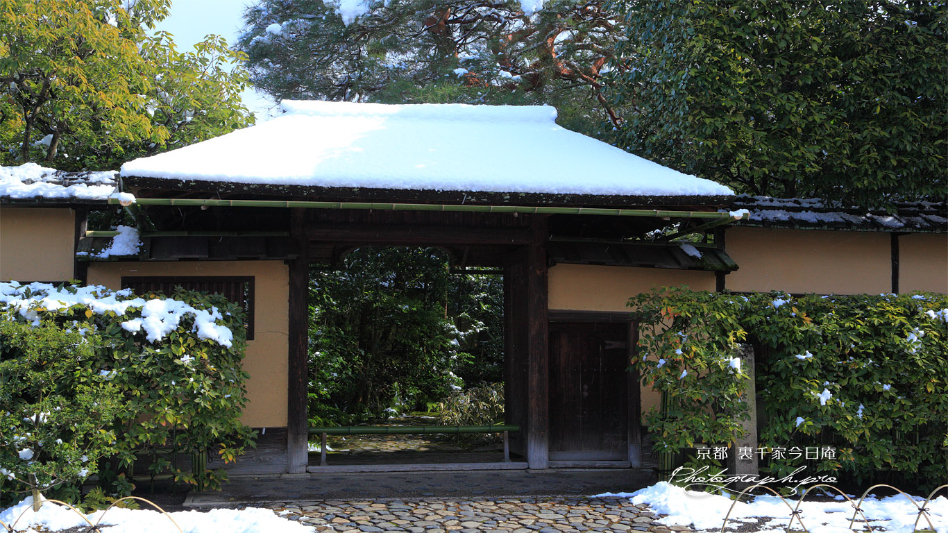 裏千家今日庵 斑雪の兜門 壁紙