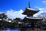 本法寺 雪化粧の多宝塔