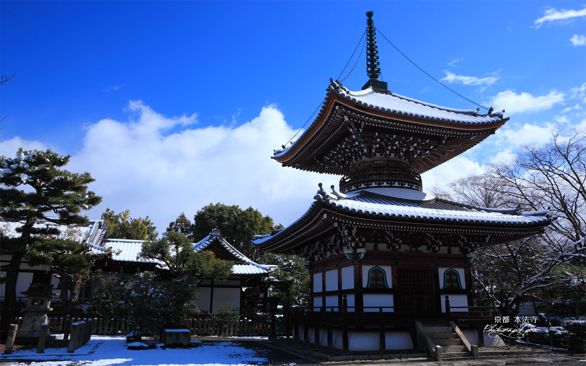 本法寺 雪化粧の多宝塔