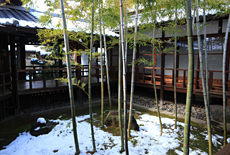 妙顕寺