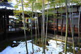 妙顕寺
