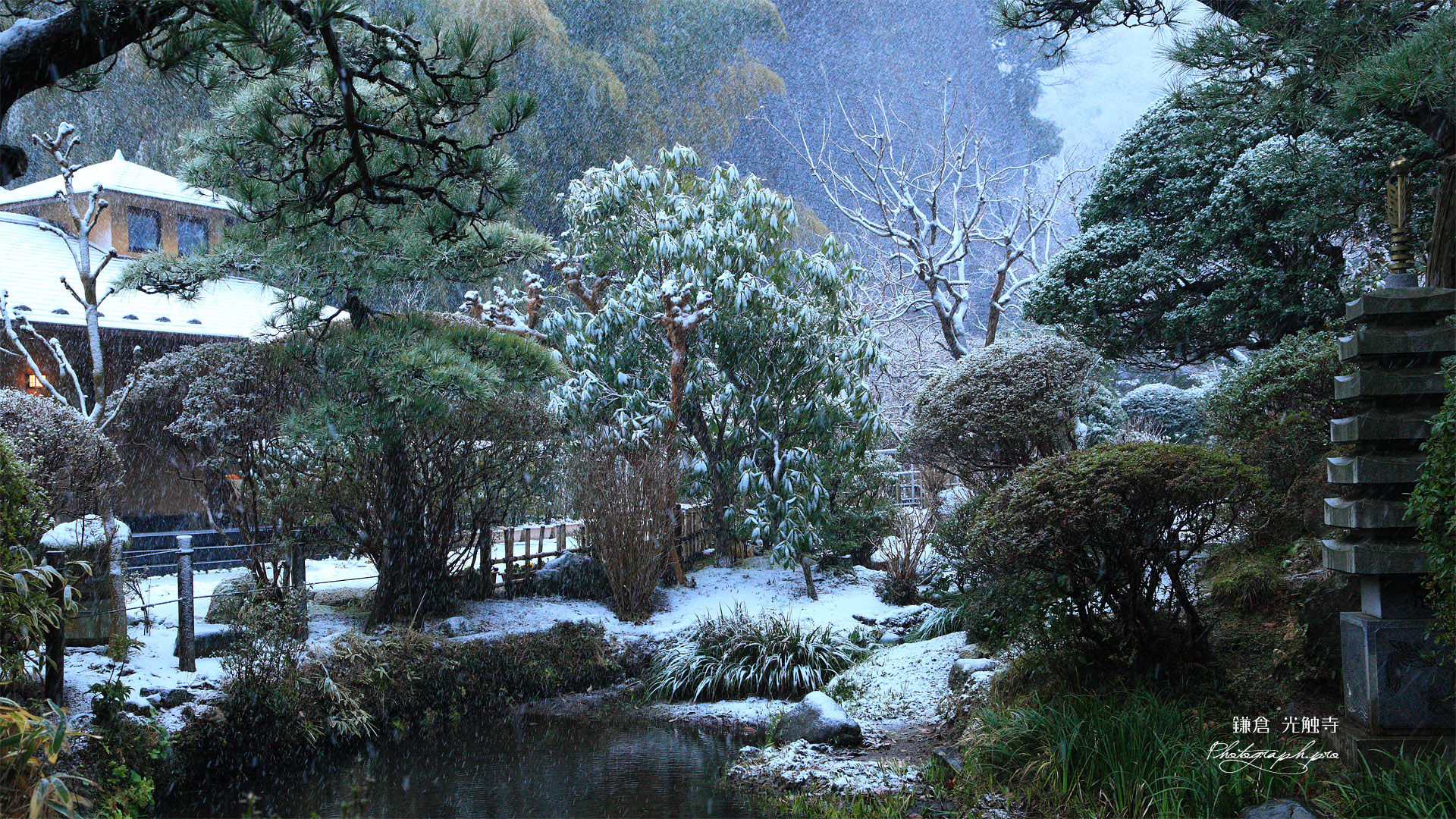 鎌倉光触寺 雪の池泉庭園