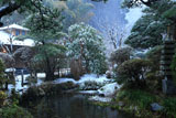 鎌倉光触寺 雪の池泉庭園