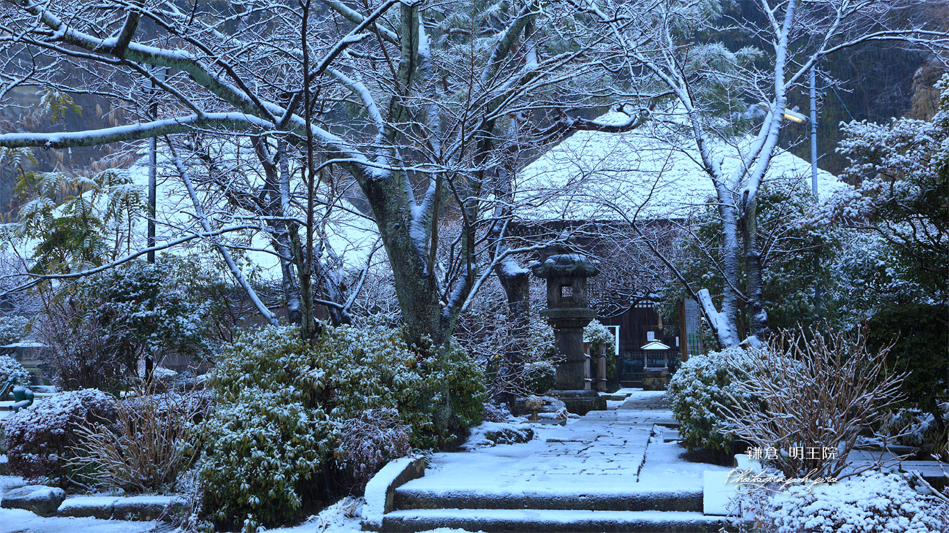 明王院 雪化粧の参道 壁紙