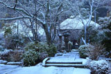 明王院 雪化粧の参道
