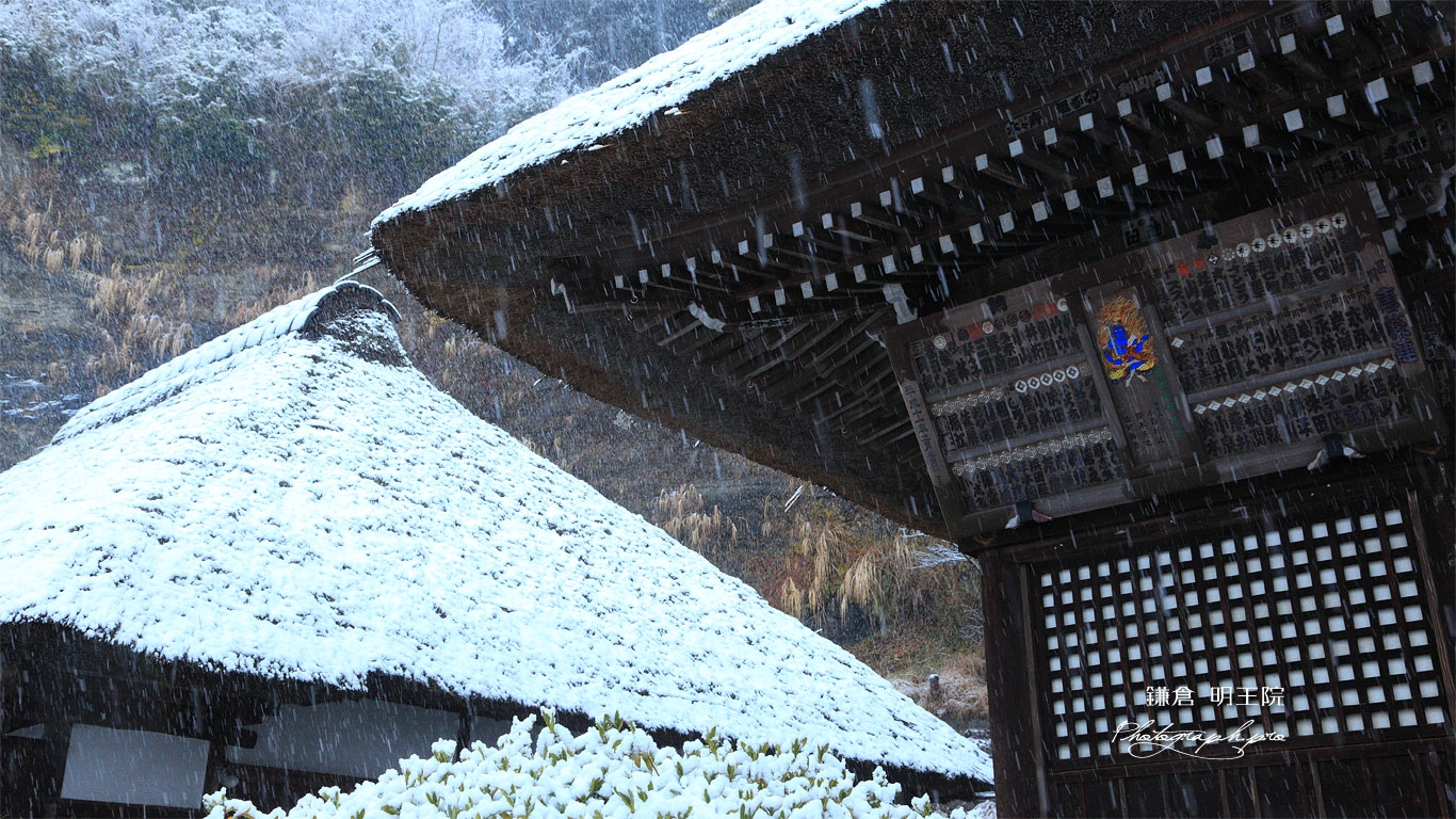 明王院 雪と奉納額 壁紙