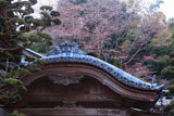 正光寺大桜
