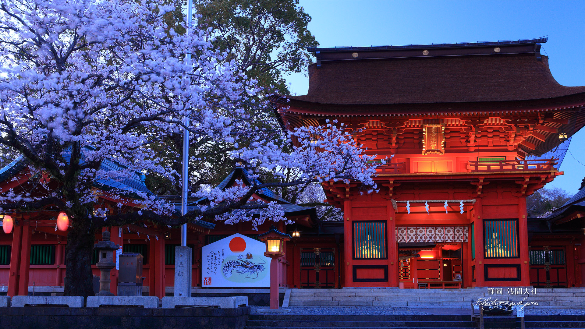 浅間大社の桜 宵の楼門