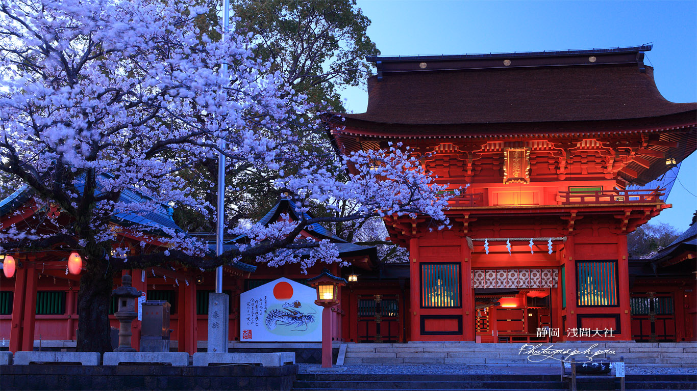 浅間大社の桜 宵の楼門 壁紙