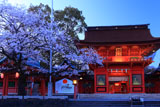 浅間大社の桜 宵の楼門