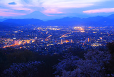 弘法山公園の桜
